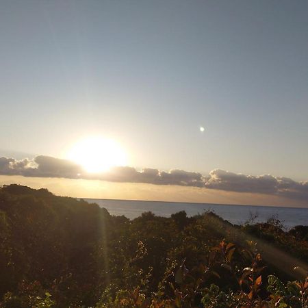 Tida Resort Yakushima 旧 屋久島海の胡汀路てぃーだ מראה חיצוני תמונה