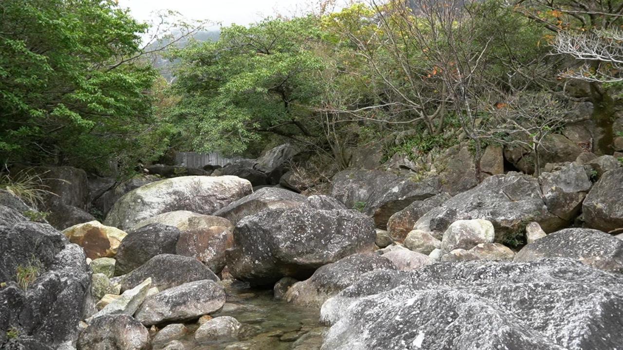 Tida Resort Yakushima 旧 屋久島海の胡汀路てぃーだ מראה חיצוני תמונה
