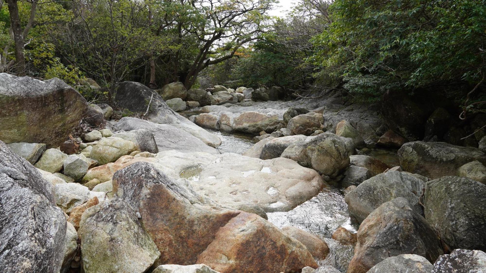 Tida Resort Yakushima 旧 屋久島海の胡汀路てぃーだ מראה חיצוני תמונה