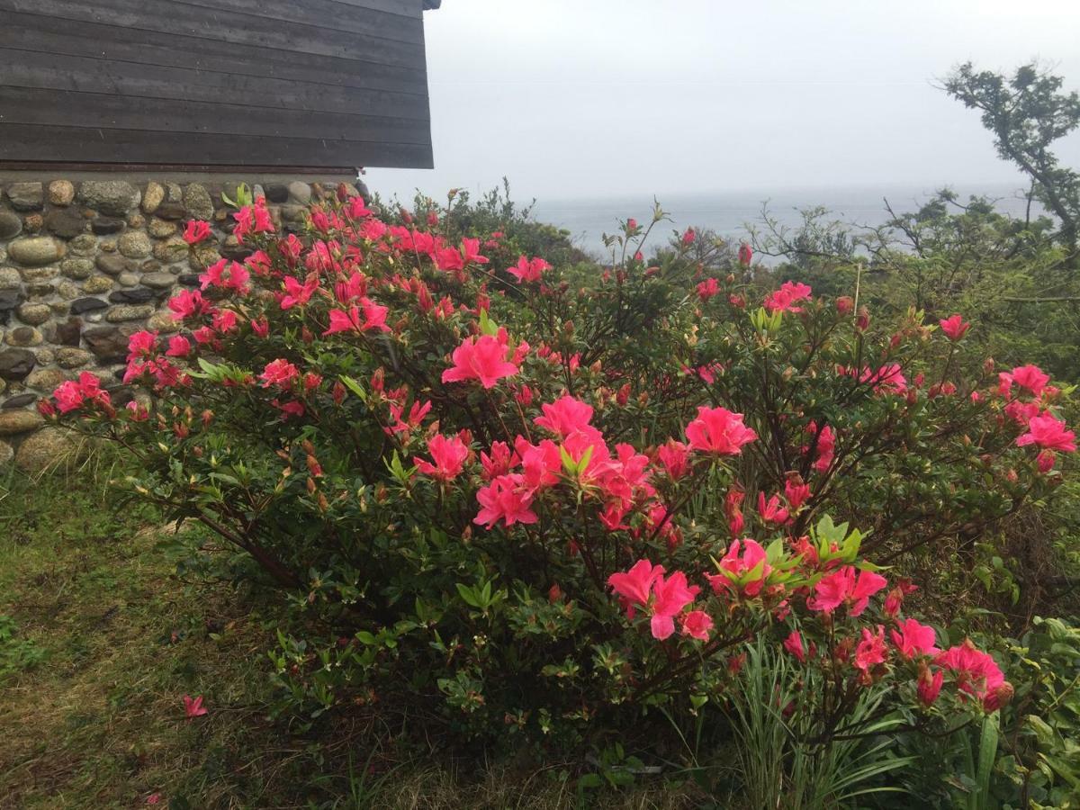 Tida Resort Yakushima 旧 屋久島海の胡汀路てぃーだ מראה חיצוני תמונה
