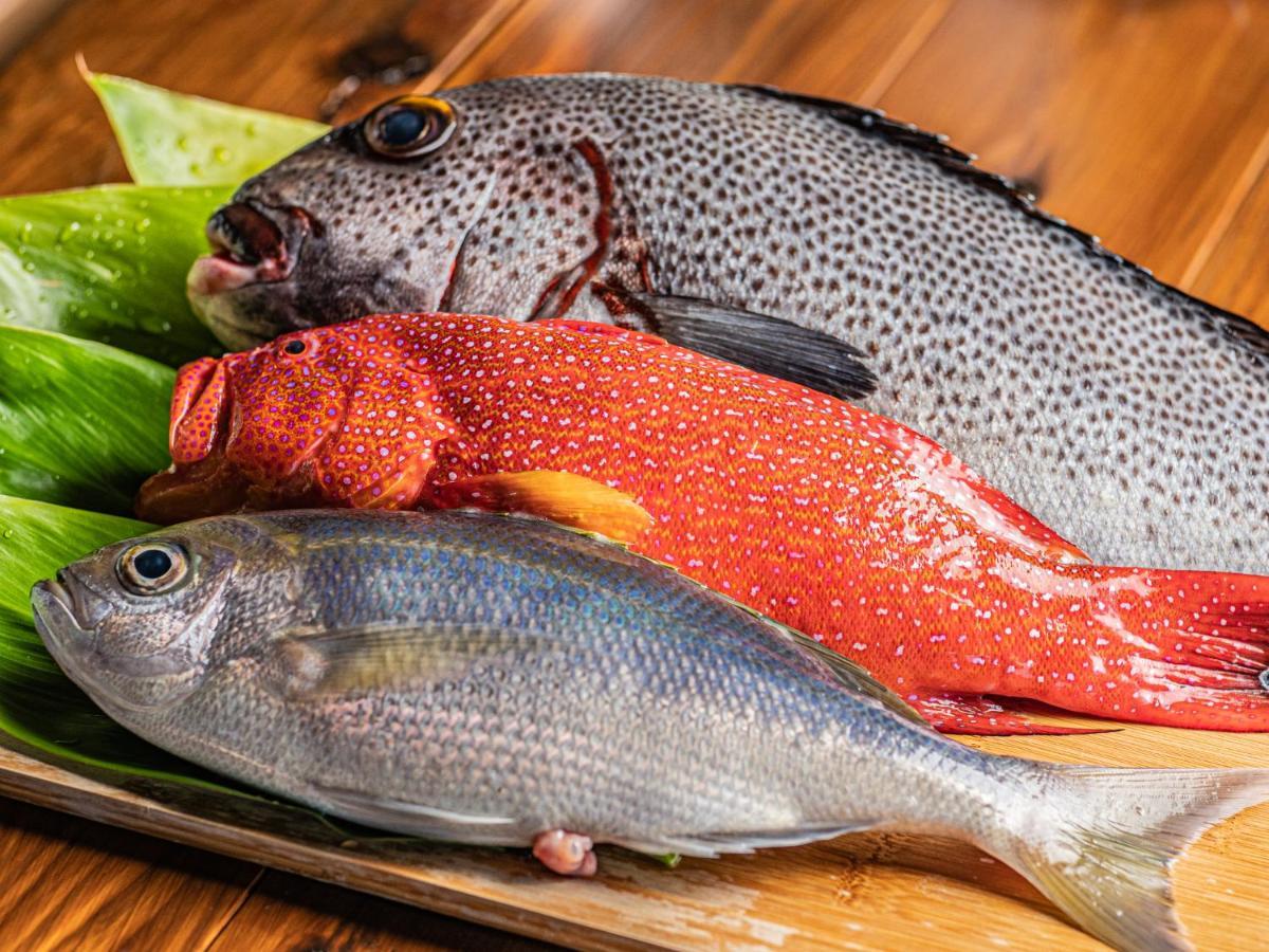 Tida Resort Yakushima 旧 屋久島海の胡汀路てぃーだ מראה חיצוני תמונה